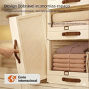 Gaveta Organizadora Modular Empilhável com Visor e Puxador — Para Closet, Armário e Enxoval